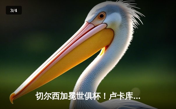 切尔西加冕世俱杯！卢卡库破门+造点，欧洲球队实现九连冠霸业 - 3