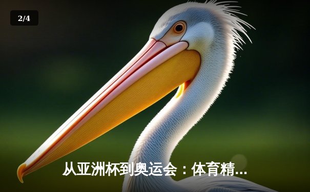 从亚洲杯到奥运会：体育精神如何重塑现代人的价值观体系 - 2